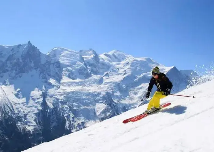 Apartment Petit Dru